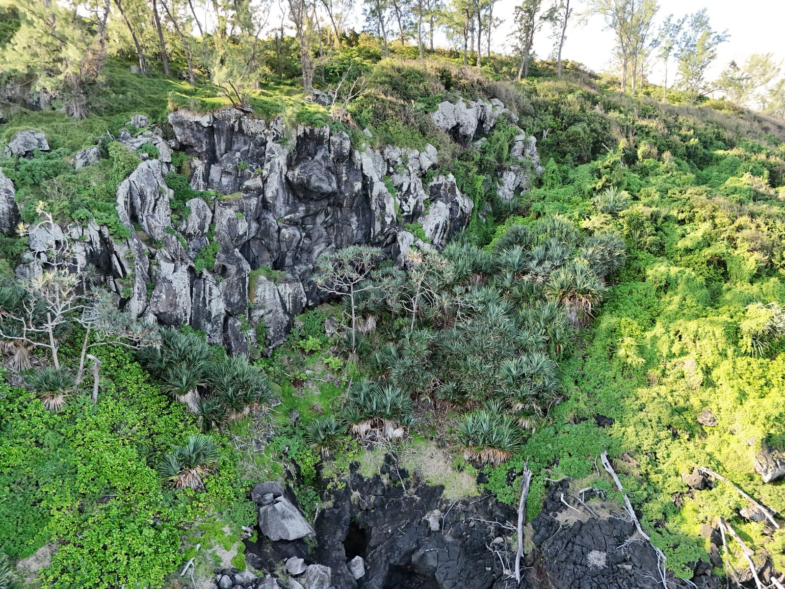 Paysage de falaises, ici localisées à Petite-Île